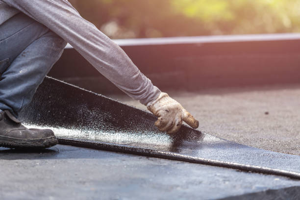Professional Interior Drainage System technician working in Ney, OH